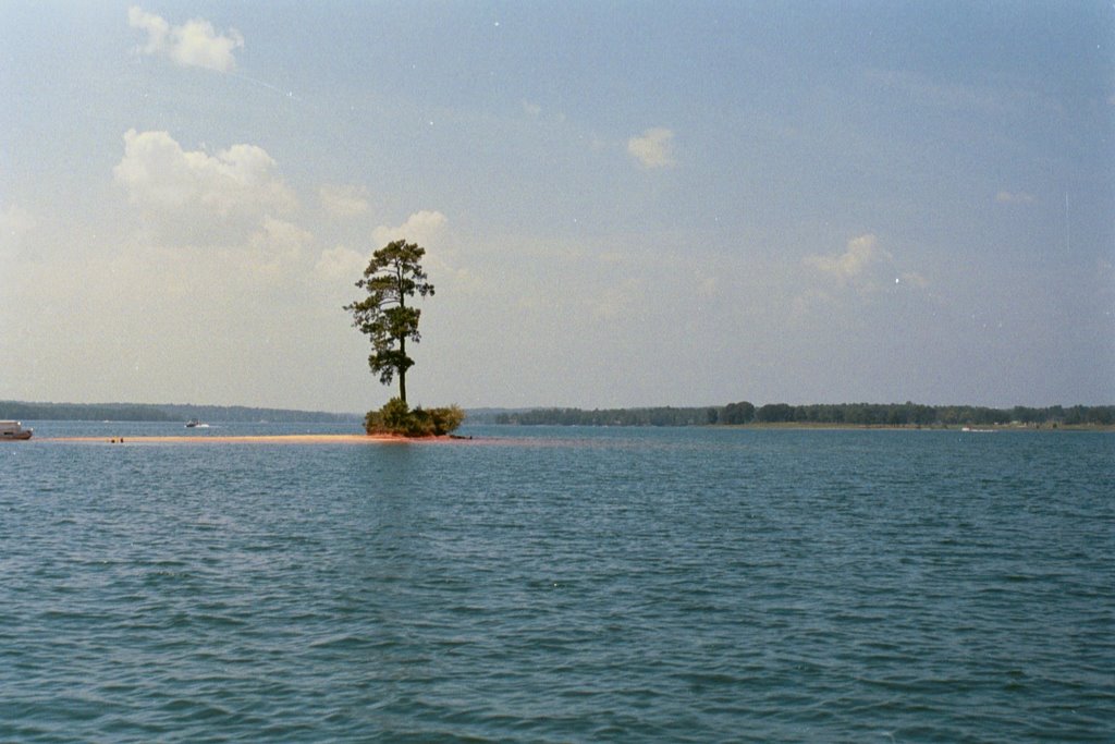 THE LONE PINE, Sand Island, Lake Martin, ALA (8-4-2006), Голдвилл