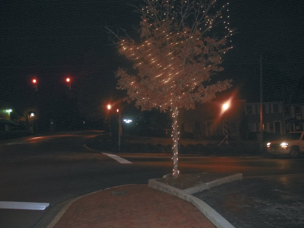 Birmingham_Alabama-2003-12-06 Tree_Lights_at_Night, Карбон Хилл