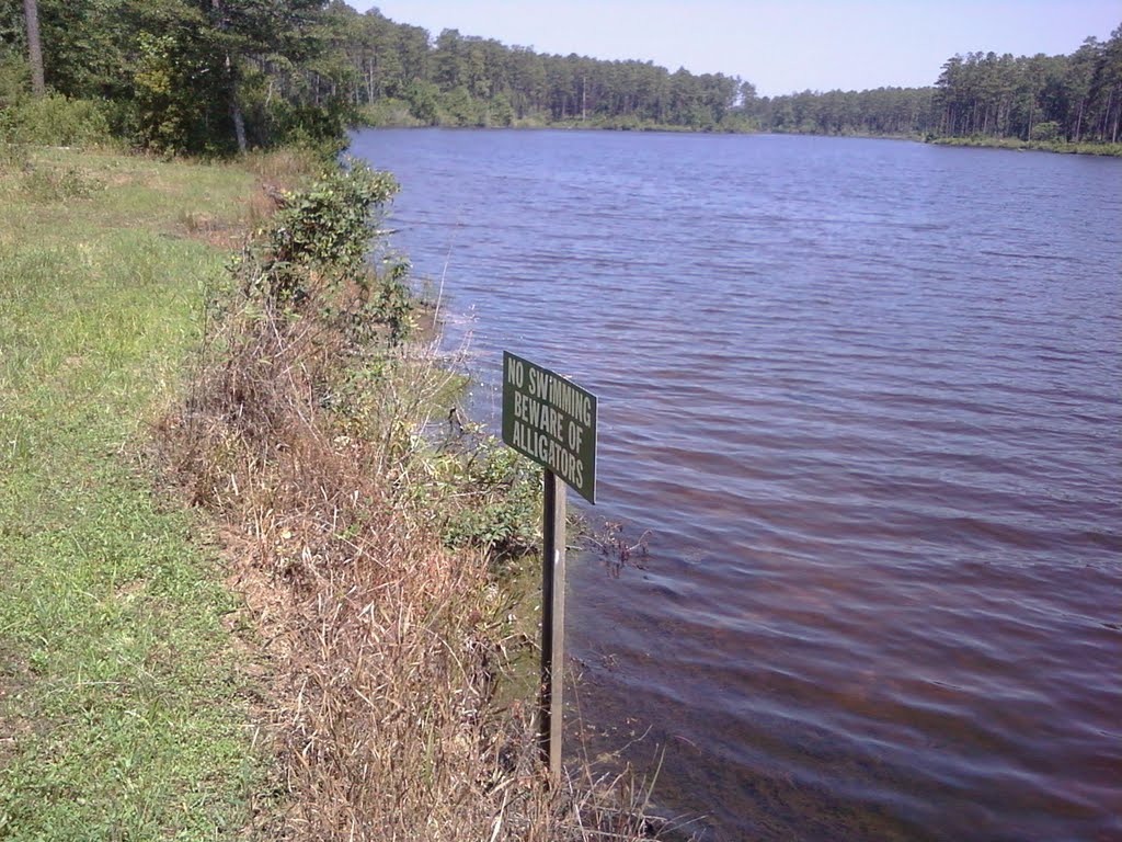 Lake & alligator warning sign, Geneva state forest, Кинстон