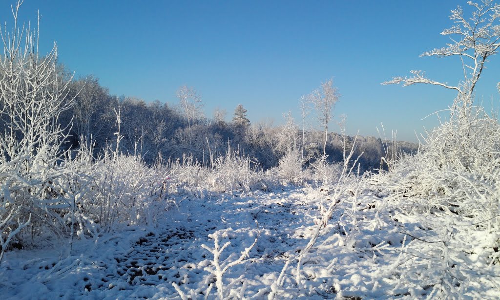 Ice cold, Кордова