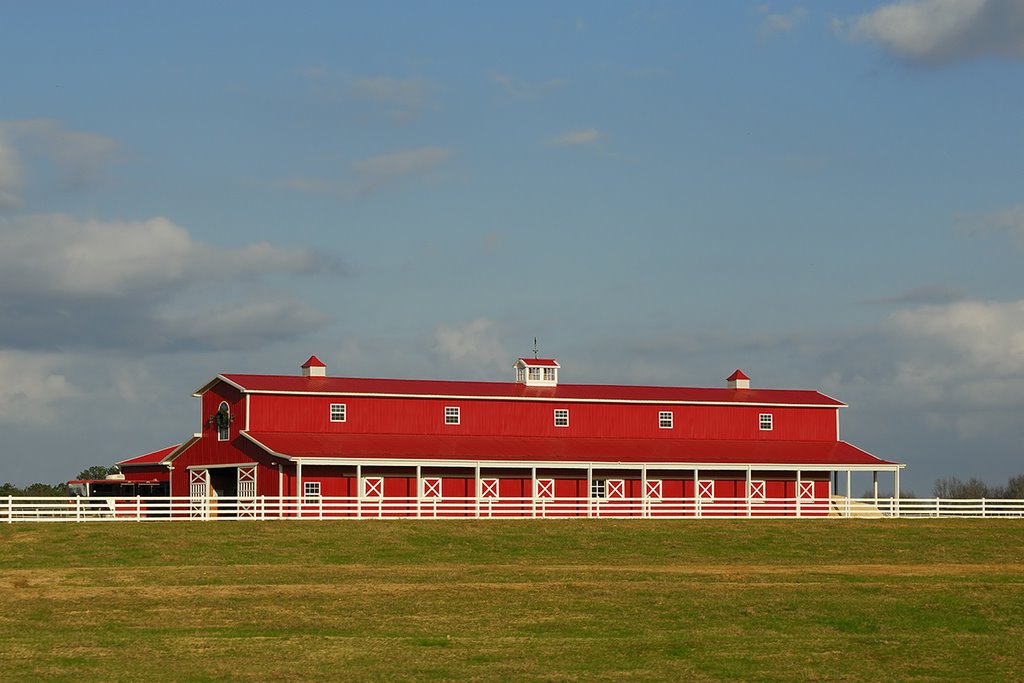 A Farm in Alabama, Коттонвуд