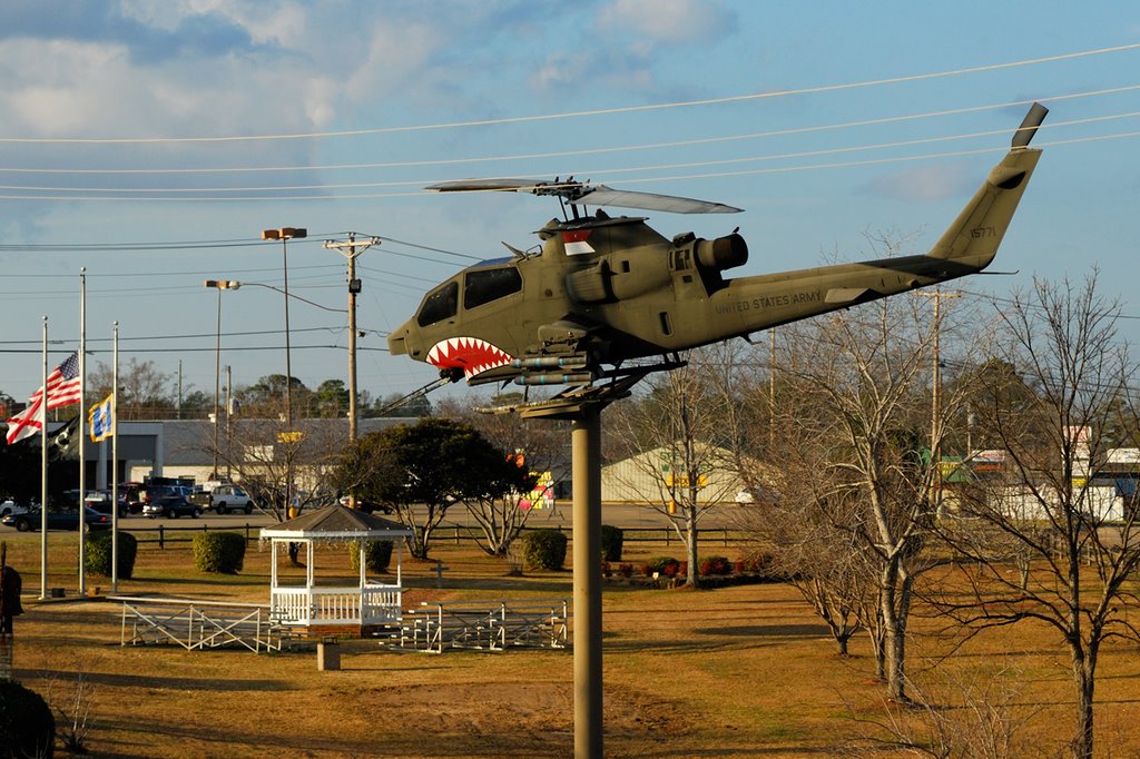 Helicopter in Troy, Alabama, Коттонвуд