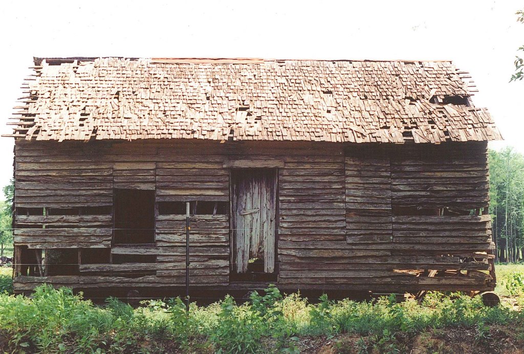abandoned weathered antebellum double-pen cracker house, Grand Ridge Fla (5-2004), Коттонвуд