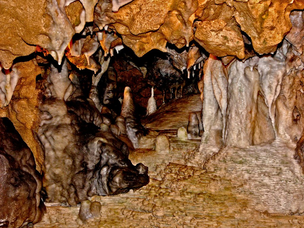 Florida Caverns #1, Коттонвуд