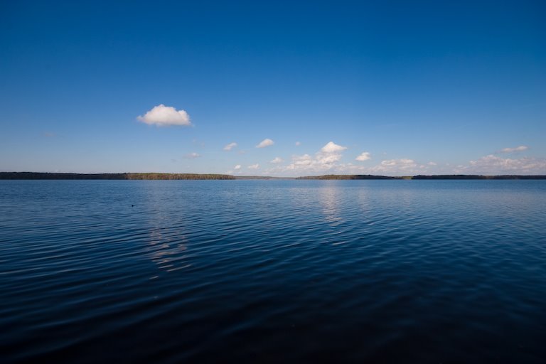 Lake Talquin, Коттонвуд