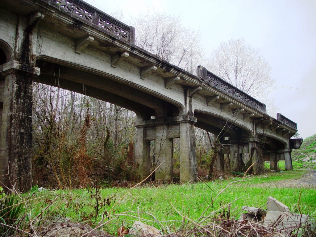 1920 Victory Bridge ruins, once spanned the Apalachicola river, Chattahoochee (12-31-2006), Коттонвуд