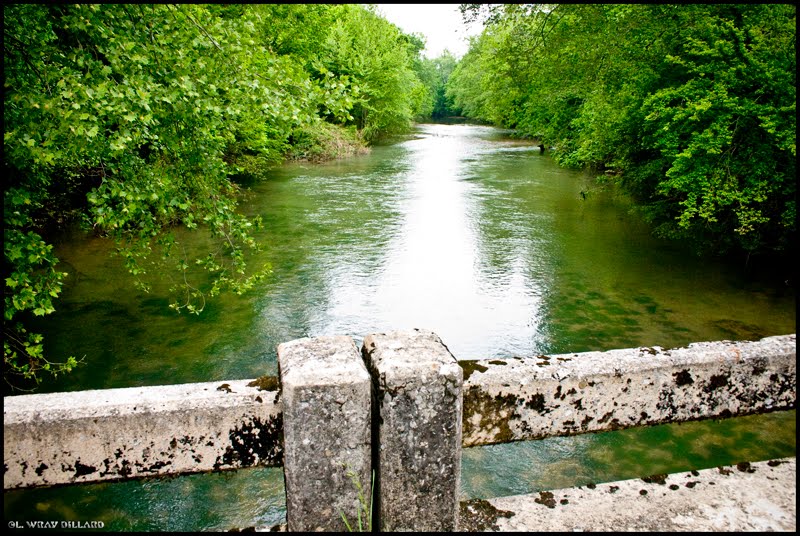 Bluewater Creek at CR33, Лексингтон
