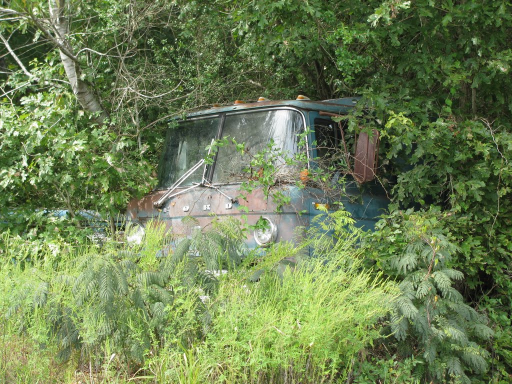 Old Ford Truck retired and basking in the heavenly bush, Лексингтон