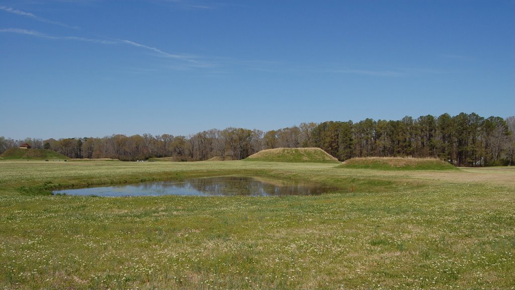 Moundville Archaeological Park, Маундвилл