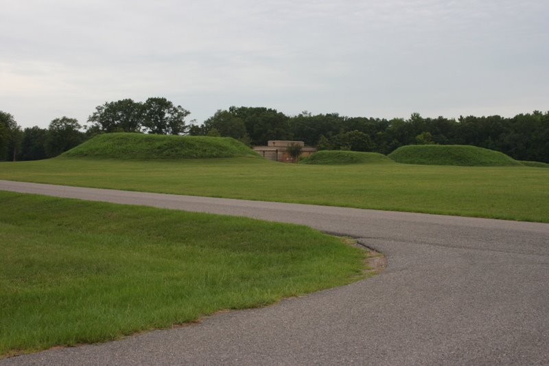 Mounds N, O, and P behind the museum. Moundville Archaeological Park. 7/6/2007, Маундвилл