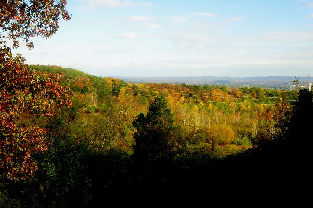 View from back deck, Fall 2010, Мидфилд