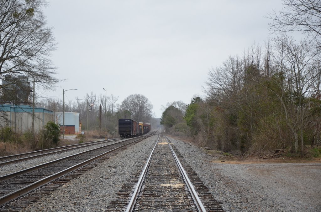 Autauga Northern Railroad, Муресвилл