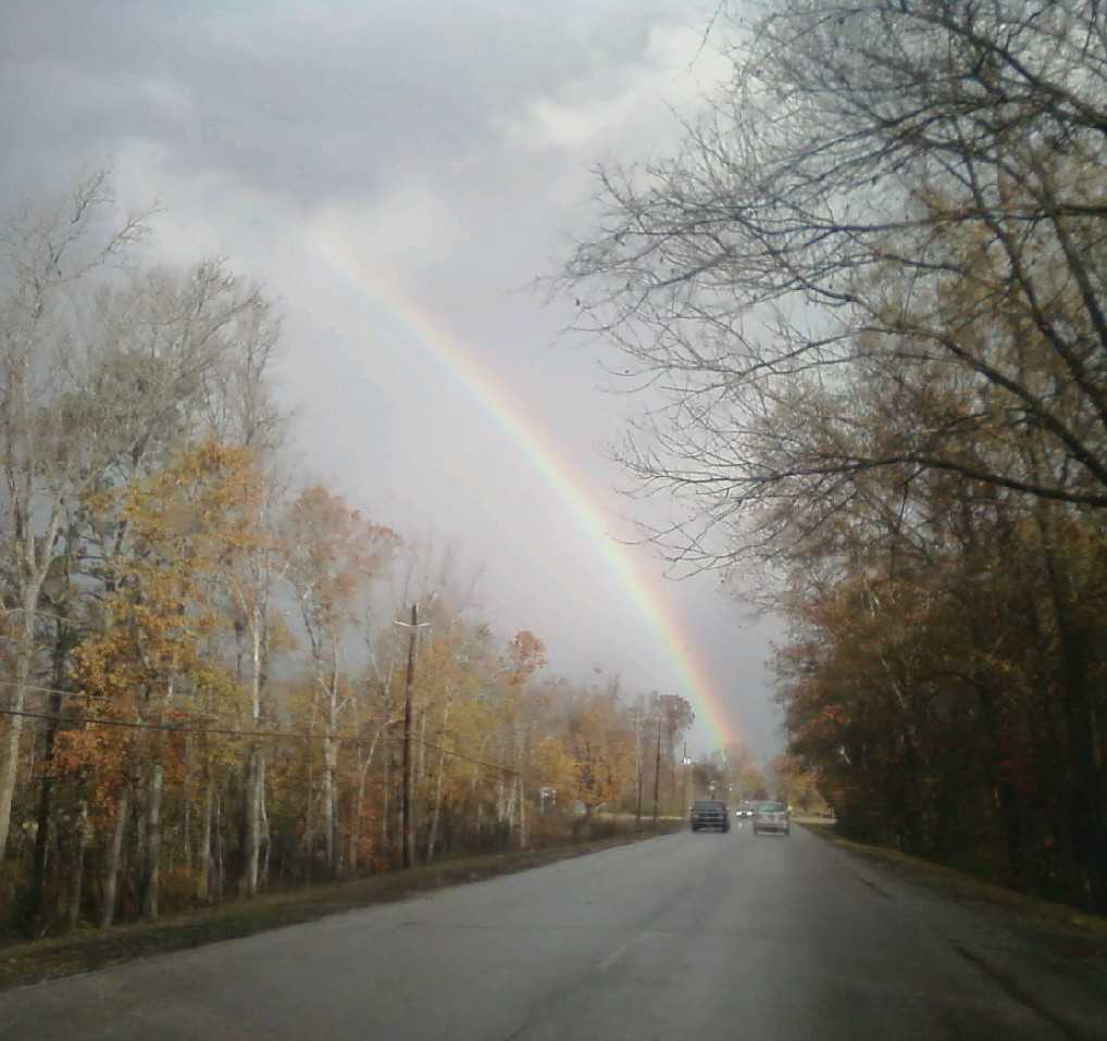 Rainbow in Northport, AL, Нортпорт