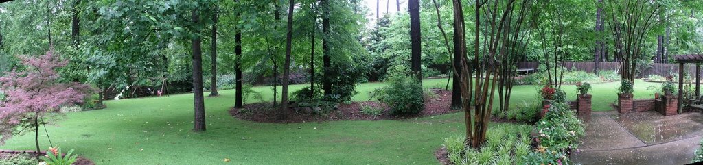 An Alabama backyard, Нортпорт