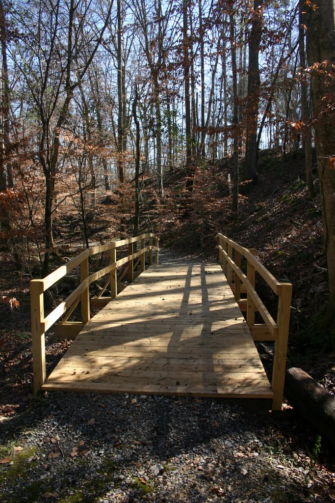 Bridge Along Nature Trail, Нью-Сайт