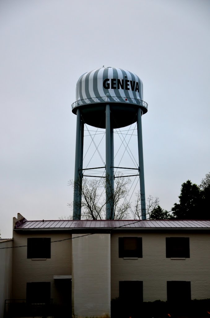 Water Tower, Ньювилл