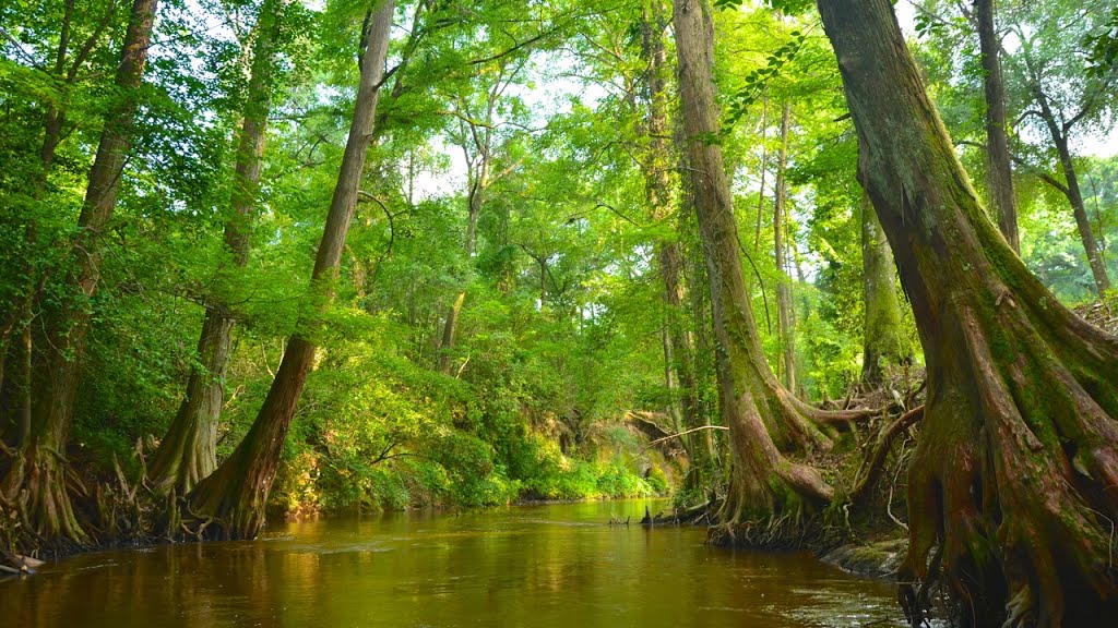 Autauga Creek, Prattville, Alabama, Праттвилл