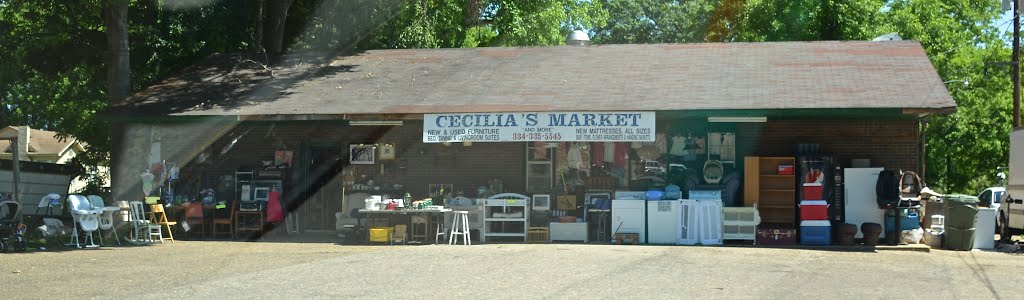 Cecillas Market, Рутледж