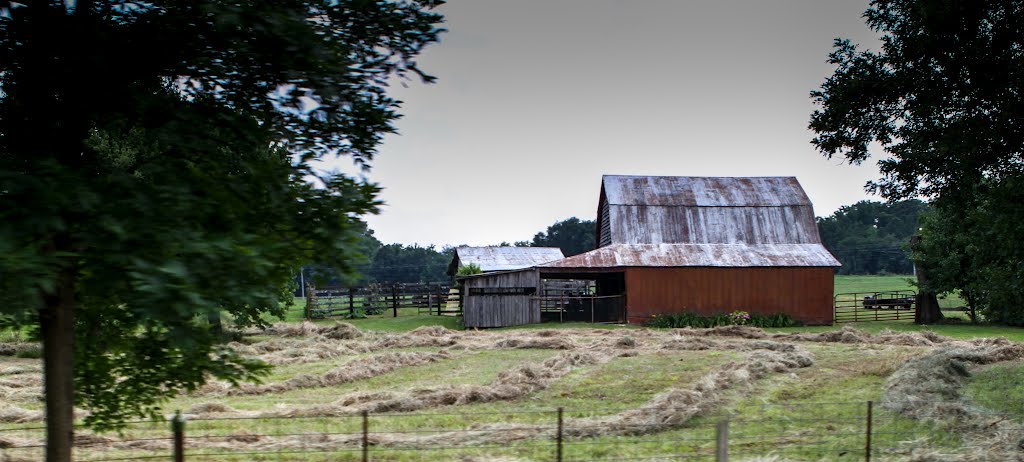 Alabama Working Barn, Сомервилл