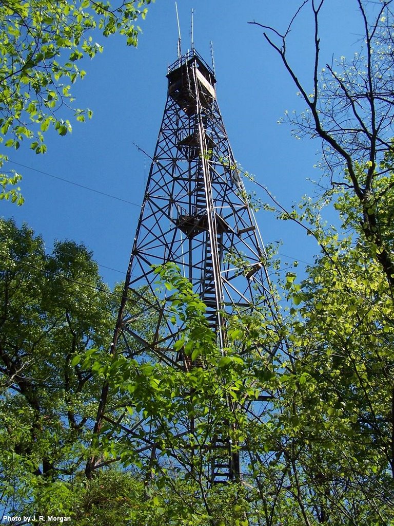 Old Warton Fire Tower, Таррант