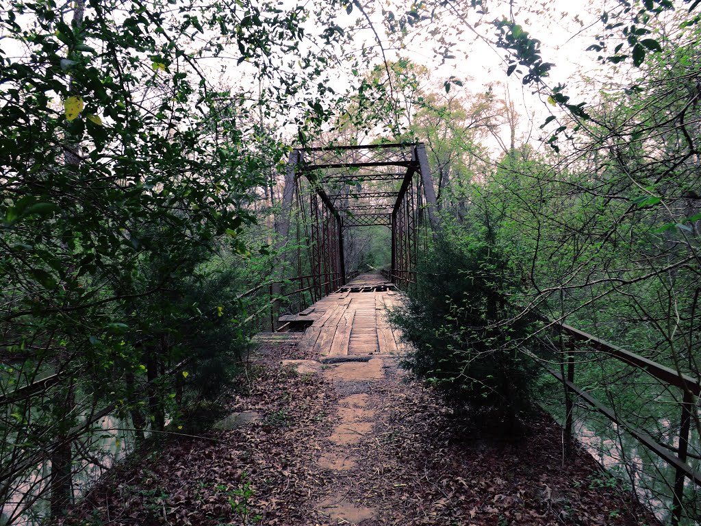 The Forgotten Bridge, Триана