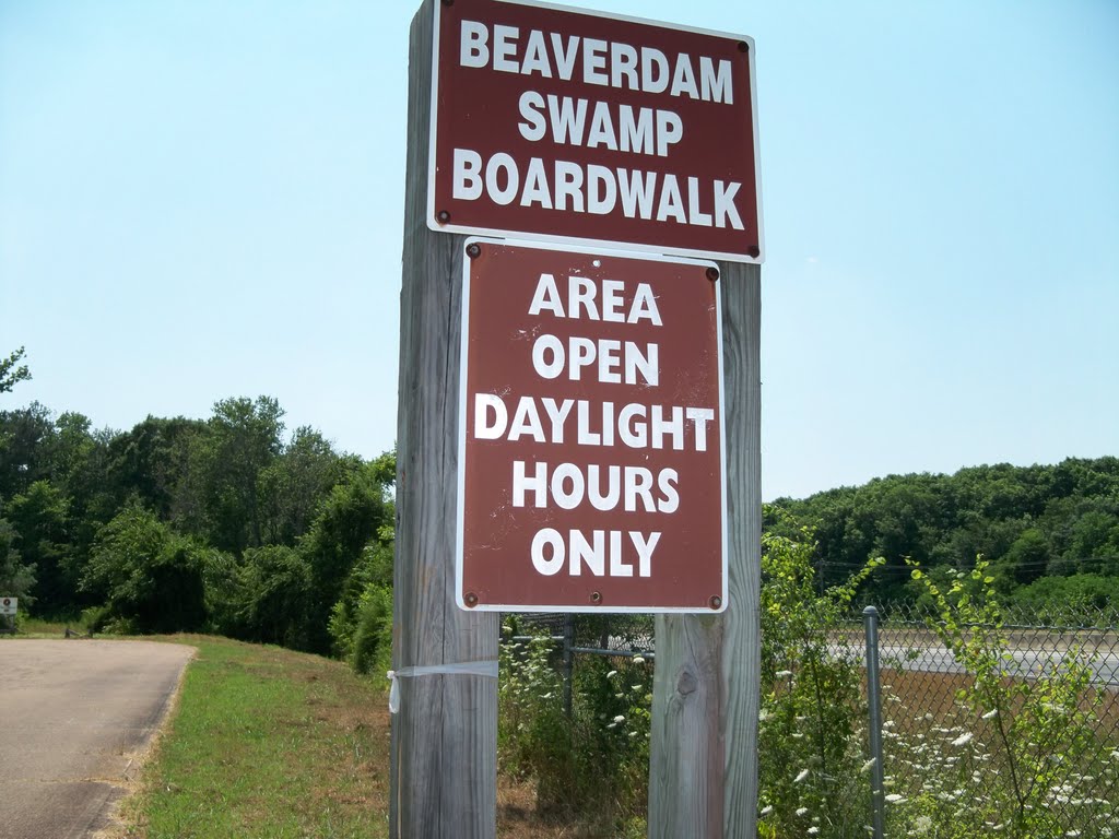 Site 25 North AL Bird Trail Central Loop Beaverdam Swamp Boardwalk, Триана