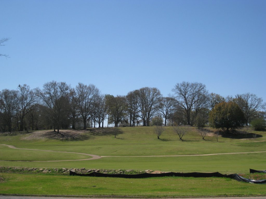 Golf Ground, Трой