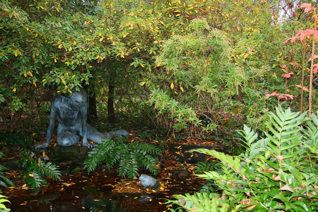 Birmingham Botanical Gardens Pond, Хомевуд