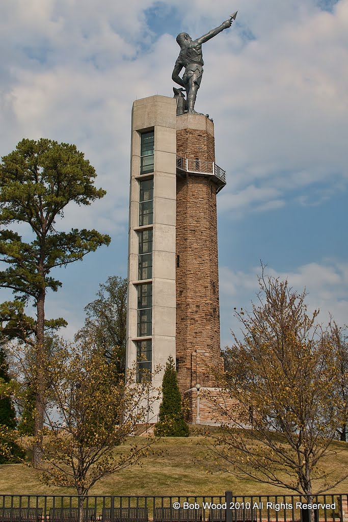 Vulcan Park and Museum, the Vulcan Statue is the largest Cast Iron Statue in the World., Хомевуд