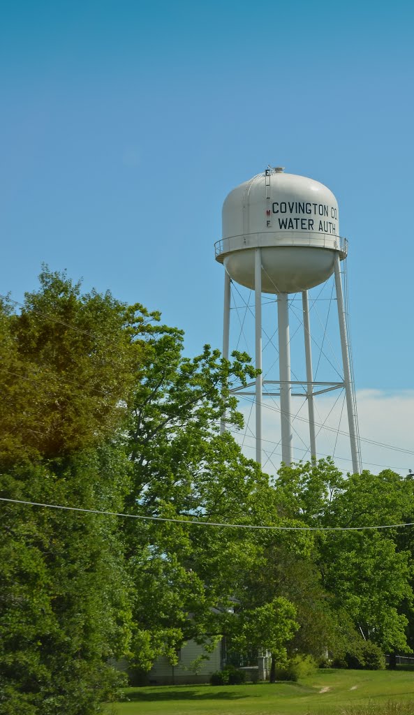 Covington County water tower, Хорн Хилл