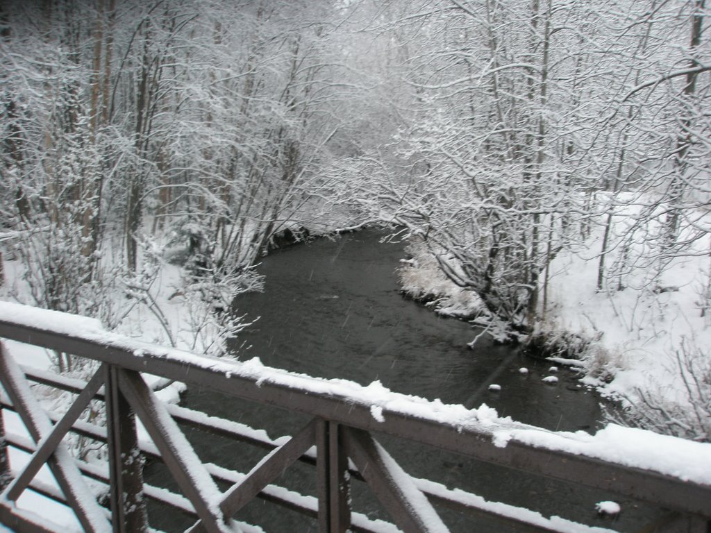 Chester Creek in winter, Анкоридж