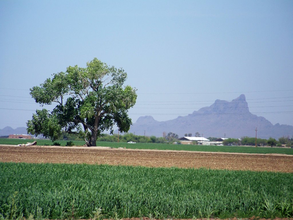 Looking NW at Picacho Peak, Марана