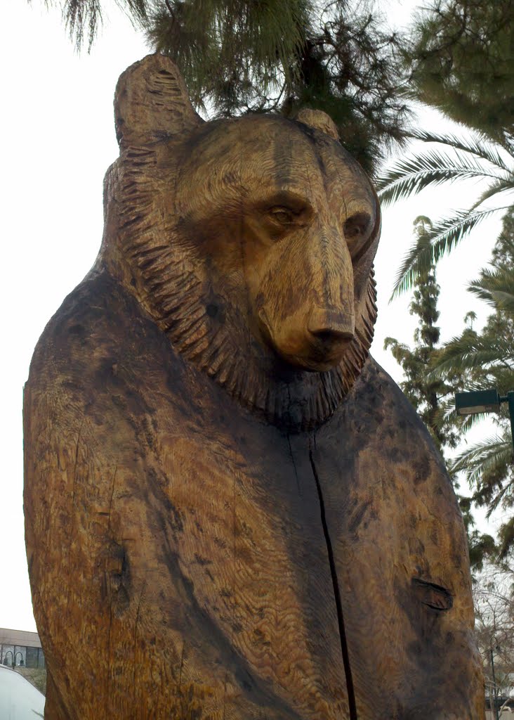 Statue, Looking West, Winter 2012, Меса