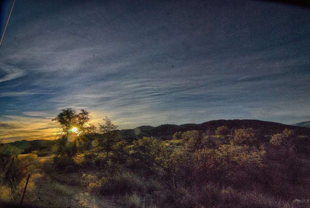 Sunrise, Oracle, Arizona., Оракл