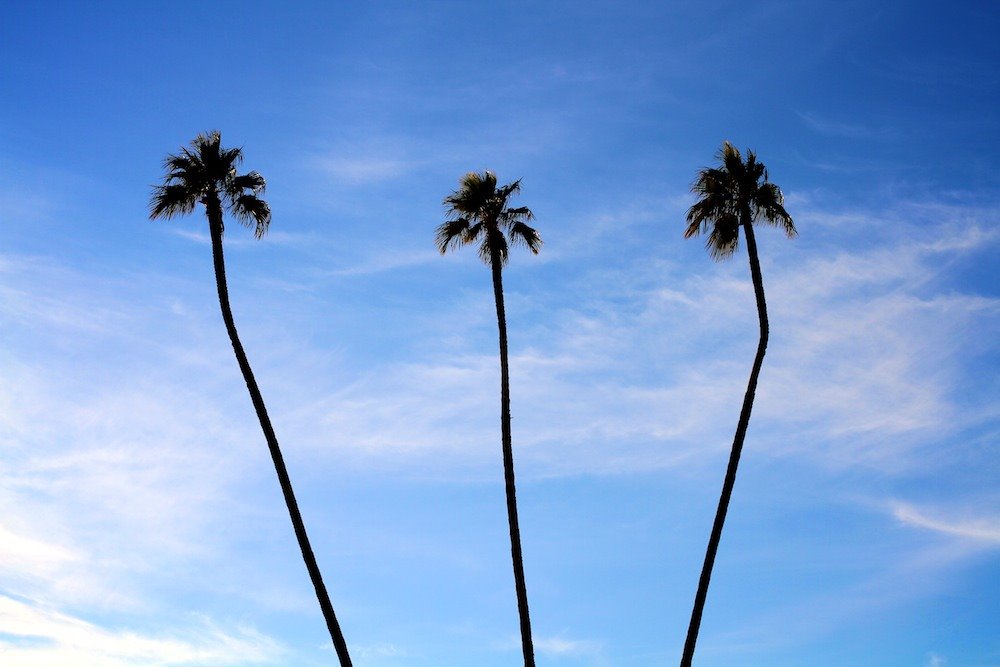 Three Palms, Сан-Сити