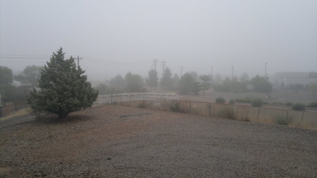A foggy morning in the desert, Сьерра-Виста