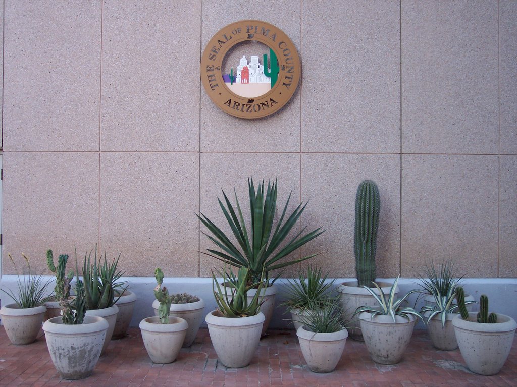 Cactus et sceau du comté de Pima, Tucson, AZ, Тусон