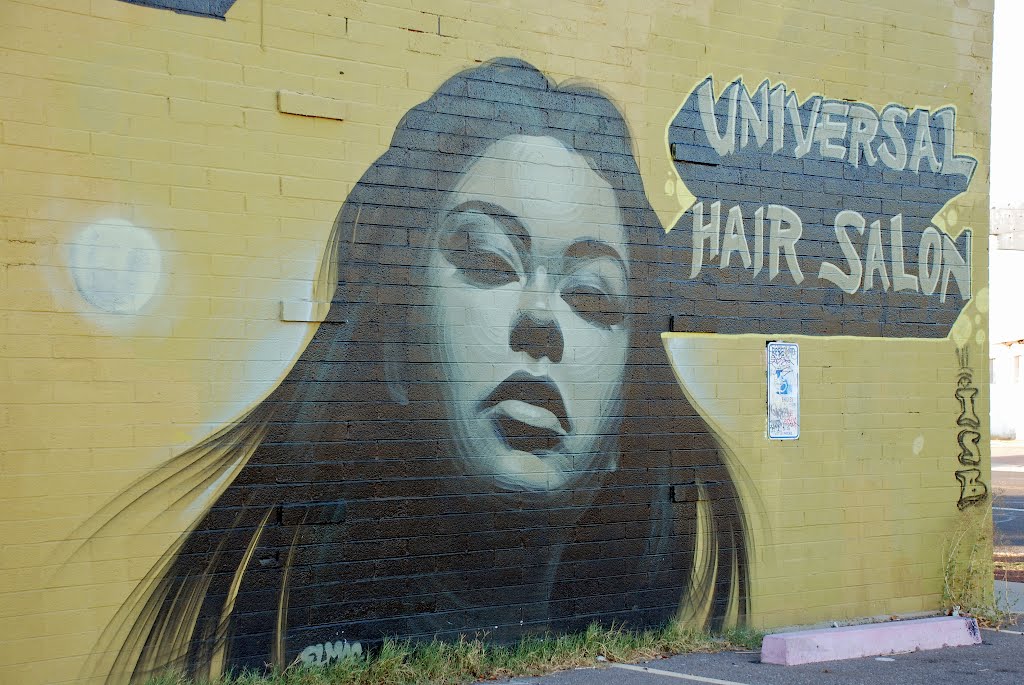 Phoenix, AZ:  Universal Hair Salon, El Mac, artist.  Capture Courtesy of Candace Porth and the Glenrosa Journeys Blog, 2010, Финикс