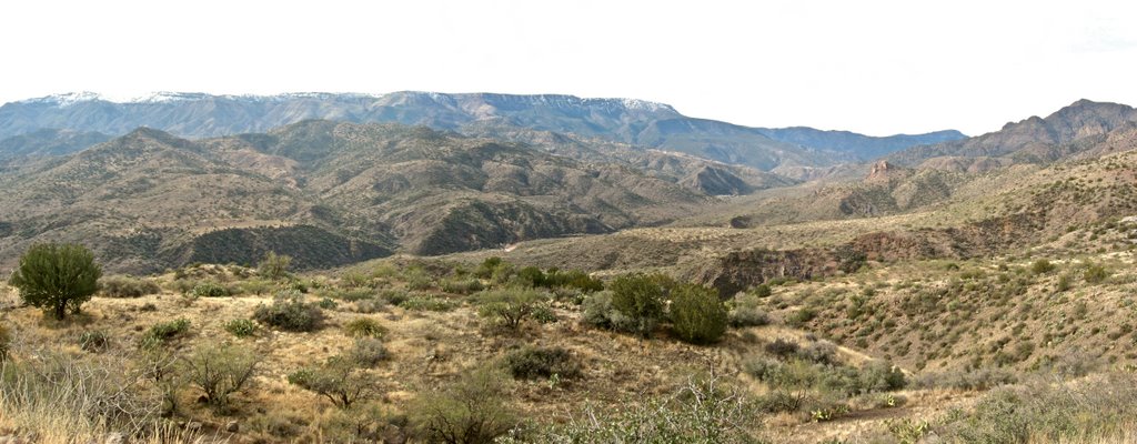 The View from Ikes Backbone, Чинли