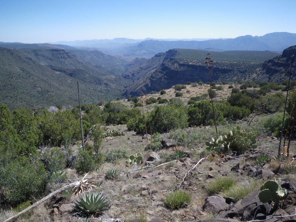 Lower Deadman Mesa View, Эль-Мираг