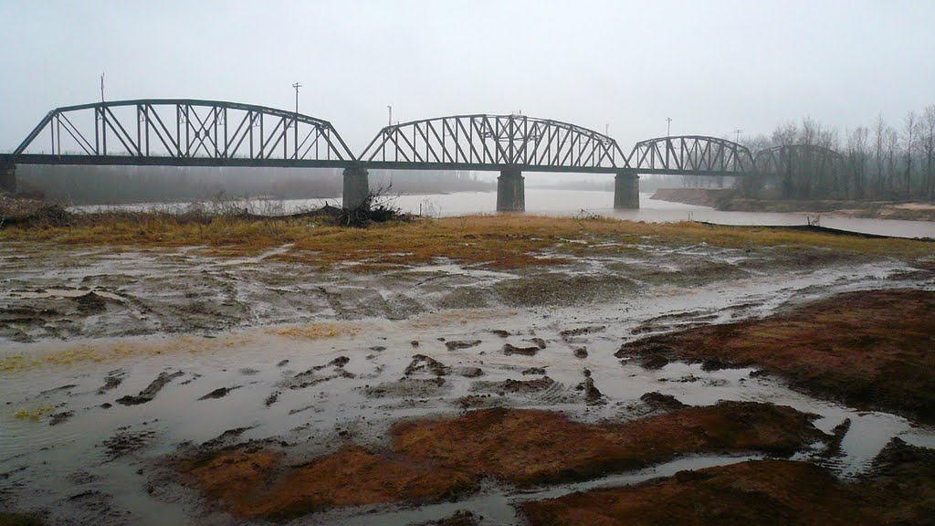 Bridge across Red River near Ogden, Arkansas, Блевинс