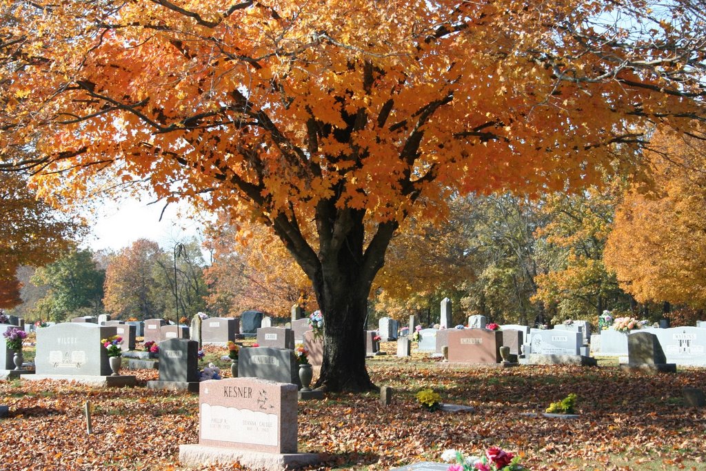 Babtist Ford Cemetery, Вашингтон