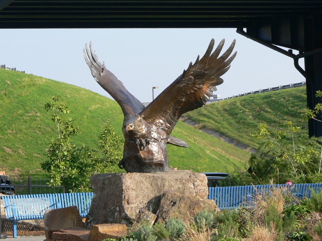 Eagle across from Clinton Presidential Library gift shop by Joe Recer, Литтл-Рок