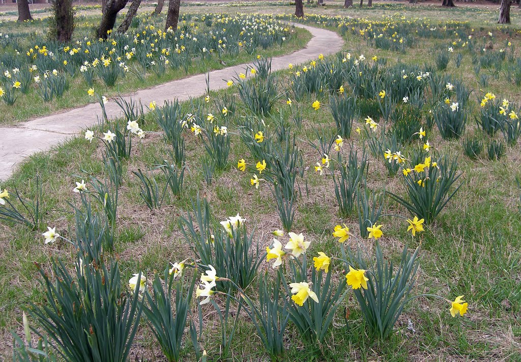 Spring is here - 2010, Прескотт