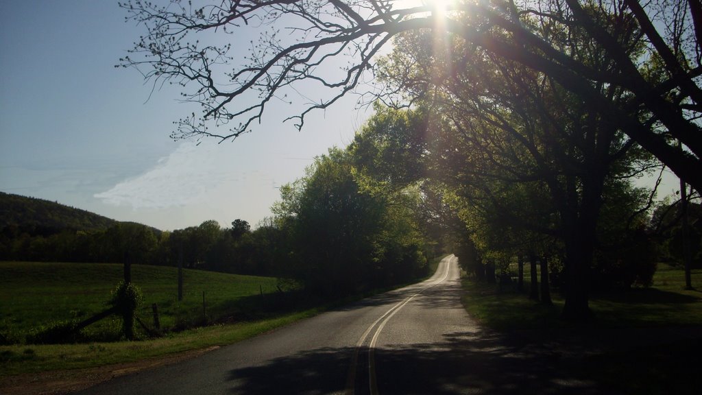 Sunlight On The Road, Росстон