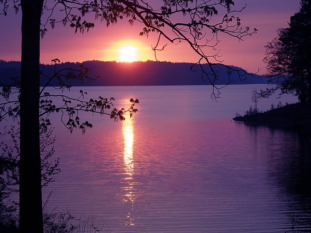 Lake Greeson Sunset, Росстон