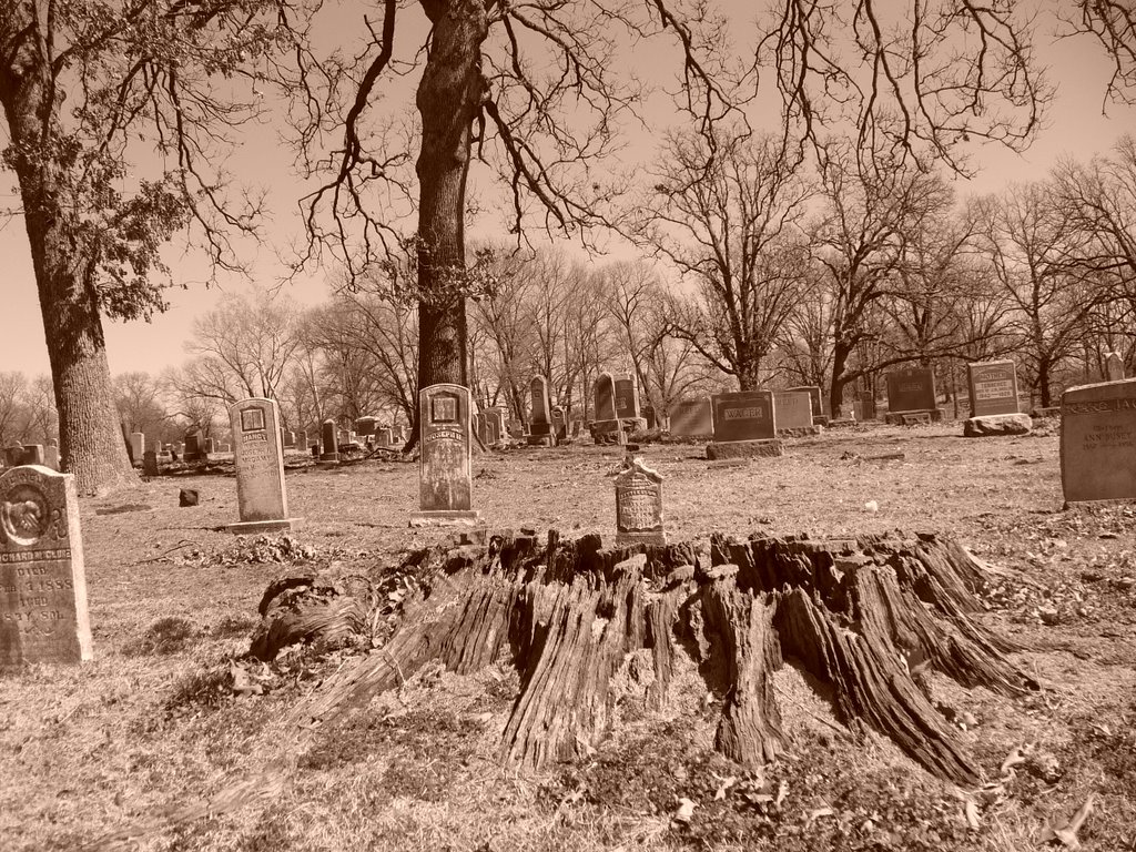 Elm Springs Cemetery, Elm Springs, Arkansas, Тонтитаун