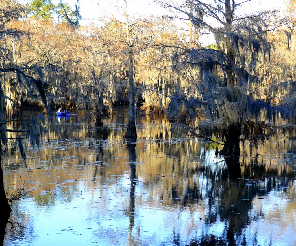 The Mill Pond in winter, Caddo Lake, Texas, Тэйлор