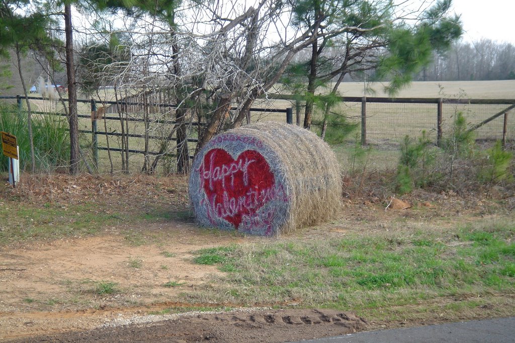 Hay! Happy Valentines Day!, Тэйлор