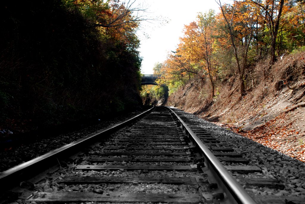 Rail Road in the Fall, Фейеттевилл